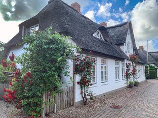 Lovely and in the heart of Nieblum: Jonggöntje House