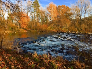 Herbstspaziergang an der Argen