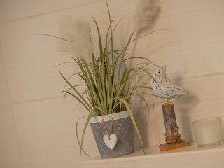 Appartamento per vacanze Baabe Caratteristiche 17