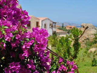 Appartamento per vacanze Porto Cervo Registrazione all'aperto 2