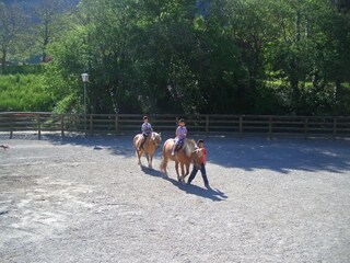 Appartamento per vacanze Zell am Ziller Ambiente 19