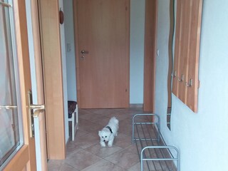 Appartamento per vacanze Zell am Ziller Caratteristiche 17