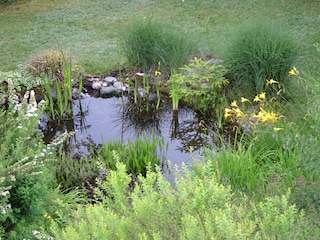 Gartenteich