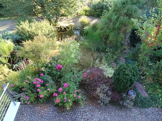 Blick von der Terrasse