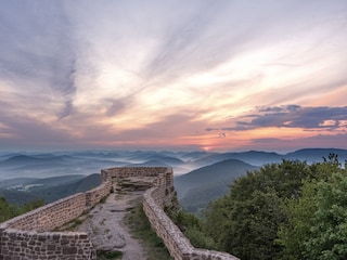 Blick von der Wegelnburg