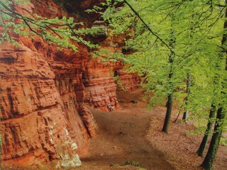 Felslandschaft in der Umgebung