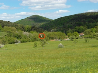 Blick auf das Ferienhaus