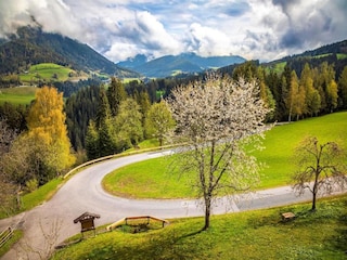 Apartment Mittersill Environment 27