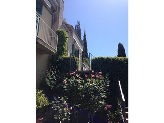 Rosenblüte mit Treppe zur Esstisch-Terrasse