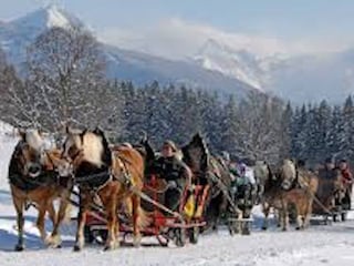 Vakantiehuis Ramsau am Dachstein Omgeving 18