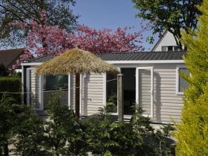 Chalet 2 bis 4 Personen Comfort - Renesse - image1