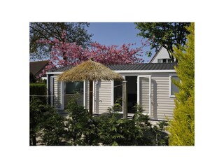 Chalet Renesse Registrazione all'aperto 2