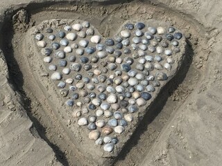Strandmuschel