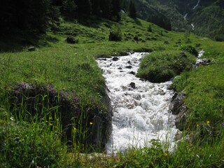 Appartamento per vacanze Bolsterlang Ambiente 16