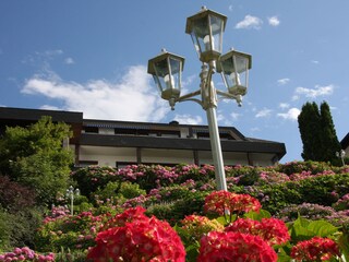 Appartamento per vacanze Maria Wörth Registrazione all'aperto 2