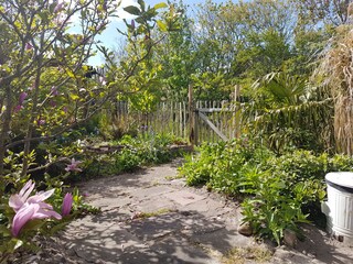 Appartamento per vacanze Callantsoog Registrazione all'aperto 6