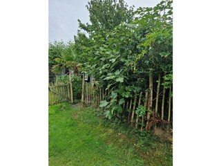 Appartamento per vacanze Callantsoog Registrazione all'aperto 7