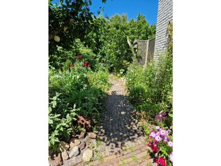 Vakantieappartement Callantsoog Buitenaudio-opname 9