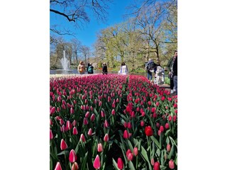 Appartamento per vacanze Callantsoog Registrazione all'aperto 12