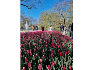 Vakantieappartement Callantsoog Buitenaudio-opname 12