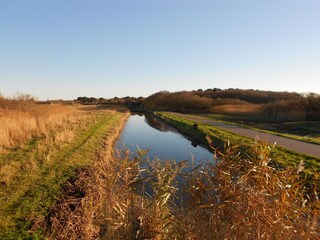 Vakantieappartement Callantsoog Omgeving 22