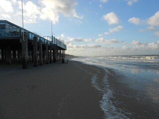 Vakantieappartement Callantsoog Omgeving 24