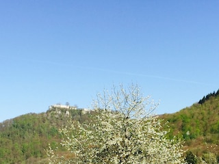 Ferienwohnung Bad Urach Umgebung 16