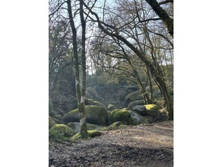 Casa per le vacanze Saint Pol de Léon Ambiente 22