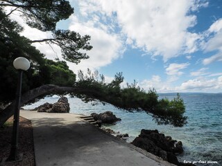 Villa Brela Registrazione all'aperto 6