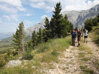 Villa Brela Registrazione all'aperto 12