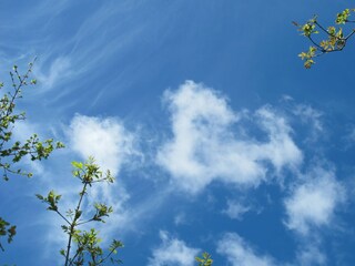 Casa per le vacanze Malinska Ambiente 20