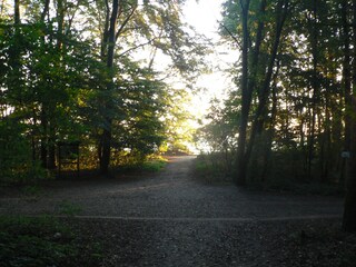 Weg zum Strand