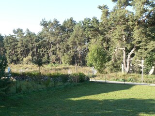 Blick vom Balkon