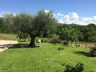 Casa de vacaciones Caparrone Grabación al aire libre 2