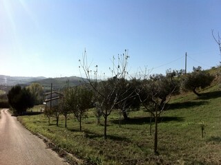 Casa per le vacanze Caparrone Registrazione all'aperto 11
