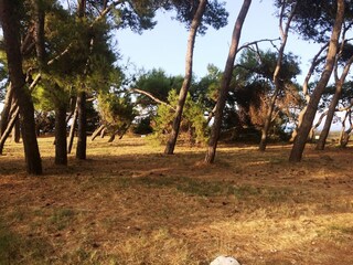 Casa per le vacanze Caparrone Ambiente 35