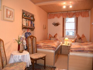 Appartamento per vacanze Schmiedefeld Caratteristiche 11