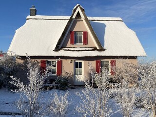 In the snow....