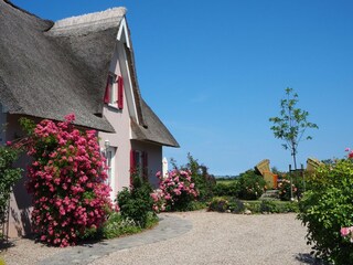 Dream home under a thatched roof with sea views