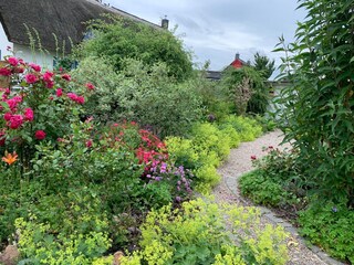 Flower bed on the south side