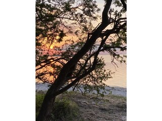 On the natural beach