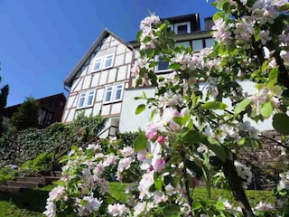 Apartment Battenberg (Eder) Außenaufnahme 2