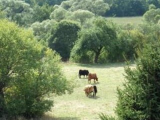 Appartamento Battenberg (Eder) Ambiente 39