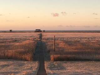 Ferienwohnung St. Peter-Ording Umgebung 17