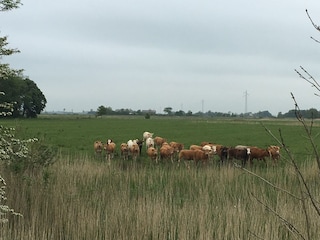 Ferienwohnung St. Peter-Ording Umgebung 19
