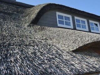 Casa per le vacanze Langeoog Registrazione all'aperto 14
