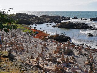 Casa per le vacanze Allinge  30