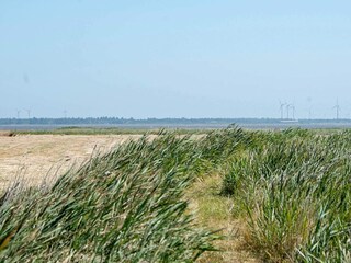 Vakantiehuis Thorsminde Buitenaudio-opname 2