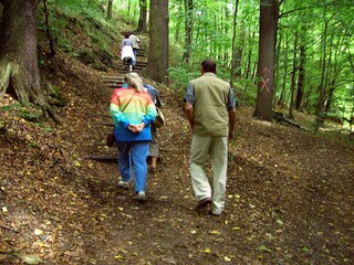 Wandern im Breisiger Wald