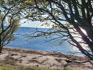 Ferienhaus Binderup Strand  29